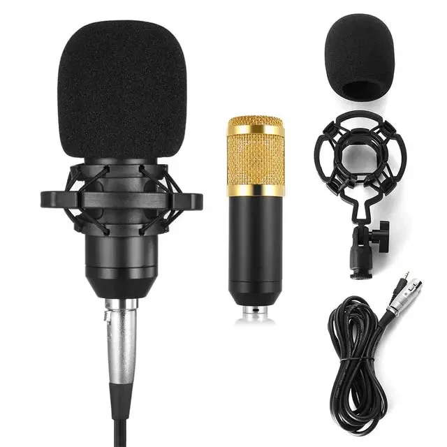 BM800 Studio Microphone